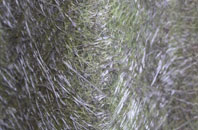 Remusaig fibreglass roof work